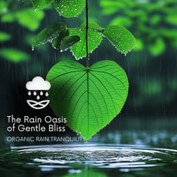 The Rain Oasis of Gentle Bliss - Organic Rain Tranquility