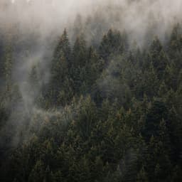 12AM Showers: Songs For Sleep - Meditation Rain Sounds