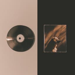 Warm Hug Fest - Music for Pets Library