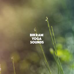 Bikram Yoga Sounds - Relaxation And Meditation