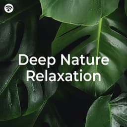 Deep Nature Relaxation - Nature Sounds and Music