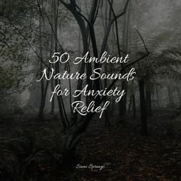 50 Ambient Nature Sounds for Anxiety Relief - The White Noise Zen & Meditation Sound Lab