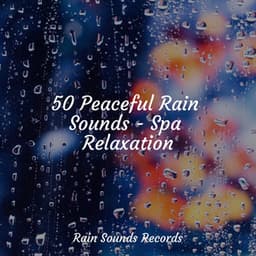 50 Peaceful Rain Sounds - Spa Relaxation - Pro Sound Effects Library