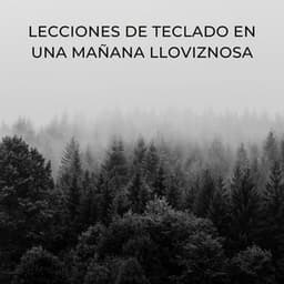 Lecciones De Teclado En Una Mañana Lloviznosa - Relajación Lluvia Meditación