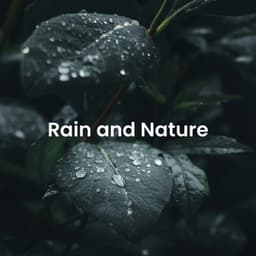 Natural Harmony: Relaxing Sounds of the Wilderness - Nature Field Recordings