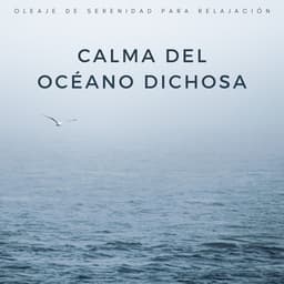 Calma Del Océano Dichosa: Oleaje De Serenidad Para Relajación - Vientos y Océanos