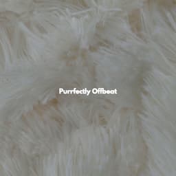 Purrfectly Offbeat - Light New Orleans Jazz