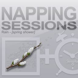 Napping Sessions - Rain - Spring Shower - Rain - Spring Shower