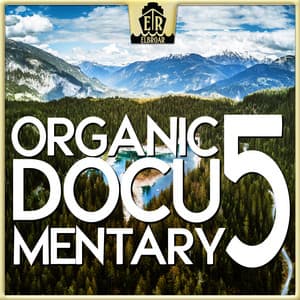 Organic Documentary 5 - Authentic Alpine Dulcimer - Louis Edlinger