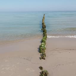 Beautiful Views - Jazzy Coffee