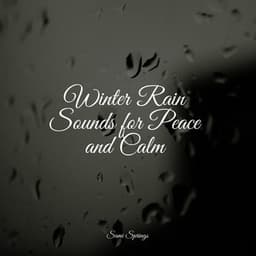 Winter Rain Sounds for Peace and Calm - Big Sounds