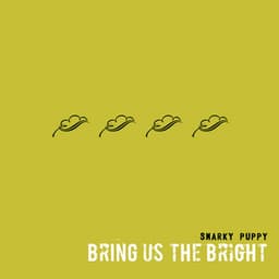 Bring Us The Bright - Snarky Puppy