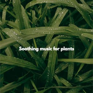 Soothing music for plants - Classic Jazz