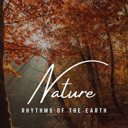 Rhythms of the Earth: Acoustic Harmony - First Worship