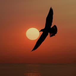 The Abundance Frequency 432 Hz - Heavenly Realms