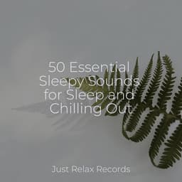 50 Essential Sleepy Sounds for Sleep and Chilling Out - Ambient
