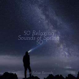 50 Relaxing Sounds of Spring 50 - Relaxing Mindfulness Meditation Relaxation Maestro