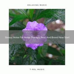 2020 Best: Sleepy Noise For Noise Therapy, Rest, And Brand New Start - Deep Rain Sampling