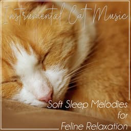 Instrumental Cat Music: Soft Sleep Melodies for Feline Relaxation - RelaxMyCat