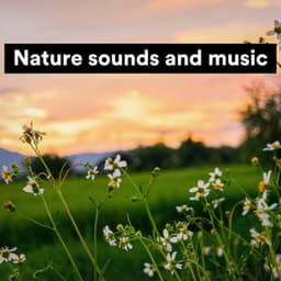 Nature Sounds and Music - Nature Sound Series