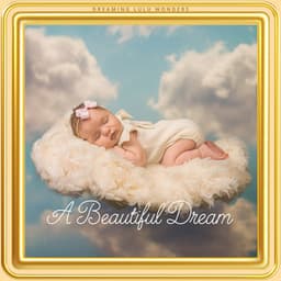 A Beautiful Dream - Dreaming Lulu Wonders