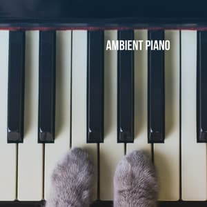 Ambient Piano - Exam Study Classical Music Orchestra