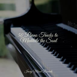 50 Piano Tracks to Meditate the Soul - Musica para Dormir Dream House