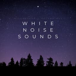 White Noise Sounds - Microdynamic Recordings