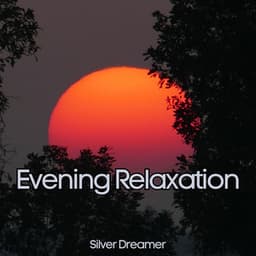 Evening Relaxation - Prepare Your Body & Mind to Sleep - Silver Dreamer
