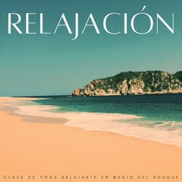 Relajación: Clase De Yoga Relajante En Medio Del Bosque - Próxima Naturaleza