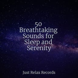 50 Breathtaking Sounds for Sleep and Serenity - Rest & Relax Nature Sounds Artists