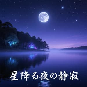 星降る夜の静寂 - BGM コンシェルジュ