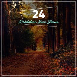 #21 Relaxing Rain Storms for Sleeping - Echoes Of Nature