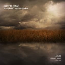 Nor Sea, Nor Land, Nor Salty Waves: A Nordic Story - Roberto Bonati