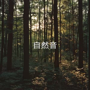 自然音 - Nature Sounds Nature Music