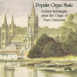 Popular Organ Music, Vol. 6 - Andrew Nethsingha
