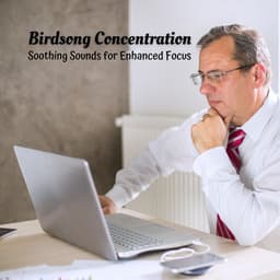 Birdsong Concentration: Soothing Sounds for Enhanced Focus - Music of the Forest