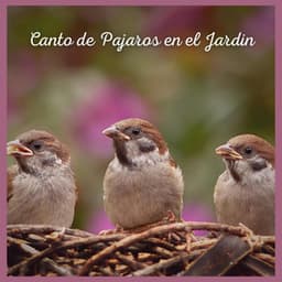 Canto de Pajaros en el Jardin - Sonidos De Pajaros