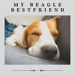 My Beagle Bestfriend - Dog Relaxation