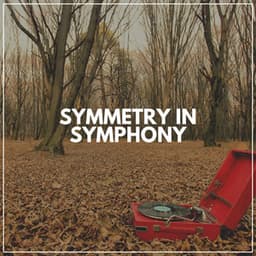 Symmetry in Symphony - Actors of Nature