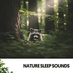 Nature Sleep Sounds: Forest time! - Ruido Blanco Hart