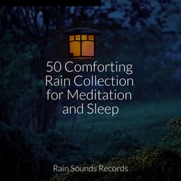 50 Comforting Rain Collection for Meditation and Sleep - Thunderstorm Sound Bank