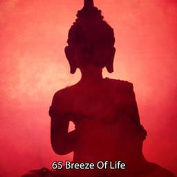65 Breeze Of Life - Spiritual Fitness Music