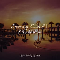 Serenity Sounds | Meditation - Namaste Yoga