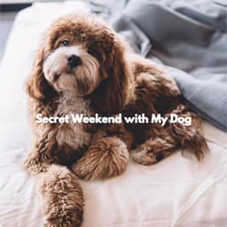 Secret Weekend with My Dog - Cuban Music Playlist