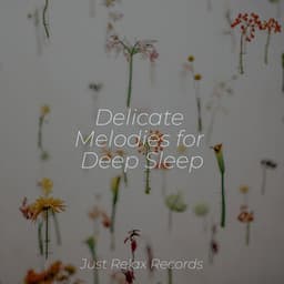 Delicate Melodies for Deep Sleep - Study Music & Sounds