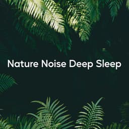 Nature Noise Deep Sleep - Naturgeräusche