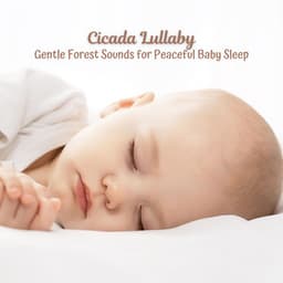 Cicada Lullaby: Gentle Forest Sounds for Peaceful Baby Sleep - Rainforest Sounds