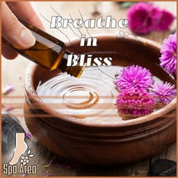 Breathe in Bliss: Sauna Journeys to Total Relaxation - Spa Area