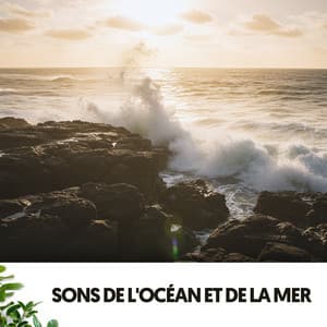 Sons de l'Océan et de la Mer: Pensées Profondes - Cat Music Therapy